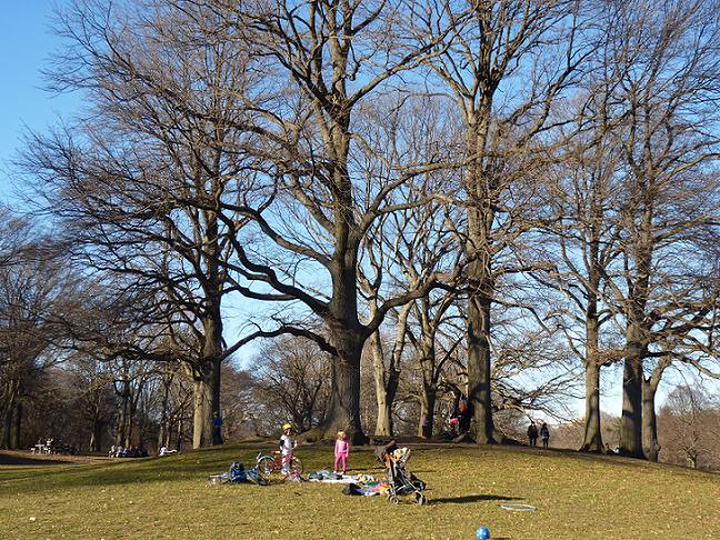 prospectpark1.JPG
