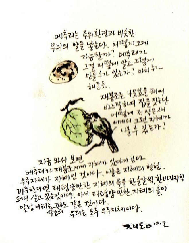 재봉조.jpg