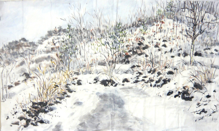 pond-1.jpg